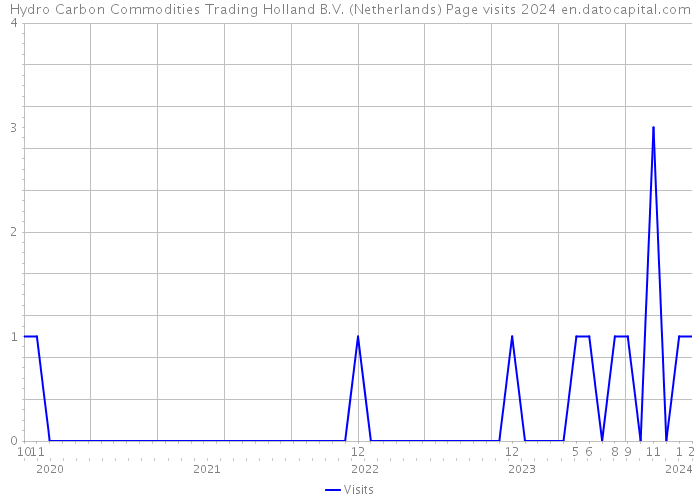 Hydro Carbon Commodities Trading Holland B.V. (Netherlands) Page visits 2024 