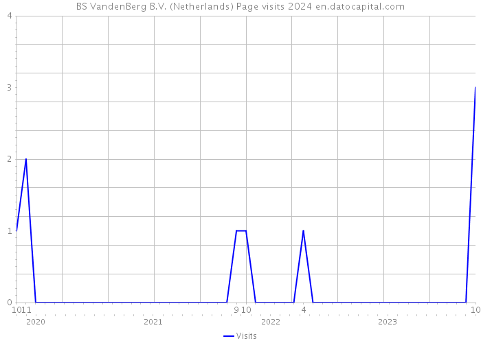 BS VandenBerg B.V. (Netherlands) Page visits 2024 
