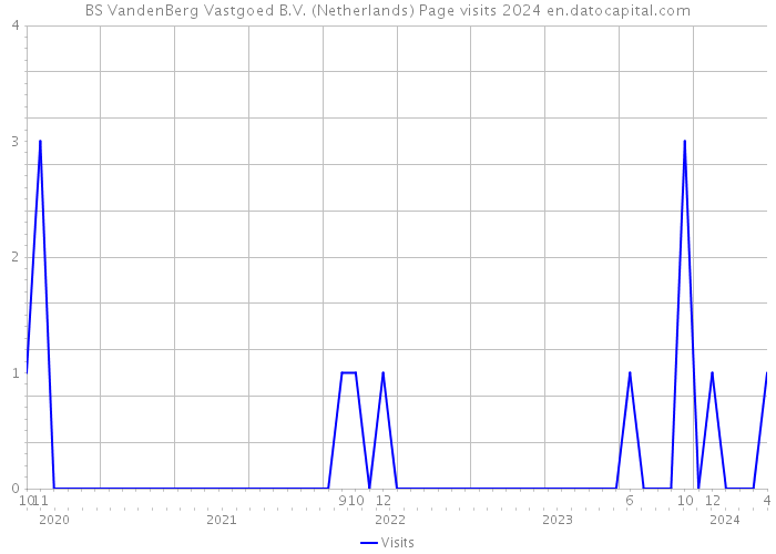 BS VandenBerg Vastgoed B.V. (Netherlands) Page visits 2024 
