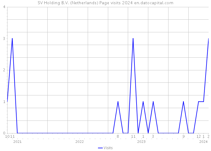 SV Holding B.V. (Netherlands) Page visits 2024 