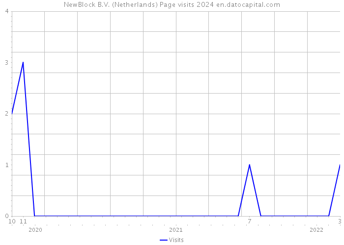 NewBlock B.V. (Netherlands) Page visits 2024 