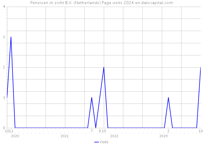 Pensioen in zicht B.V. (Netherlands) Page visits 2024 