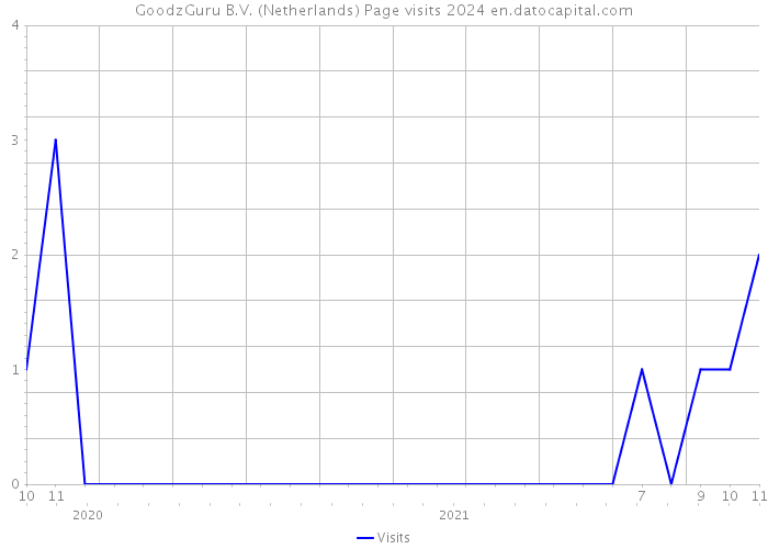 GoodzGuru B.V. (Netherlands) Page visits 2024 