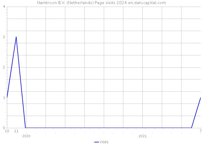 Namtroon B.V. (Netherlands) Page visits 2024 