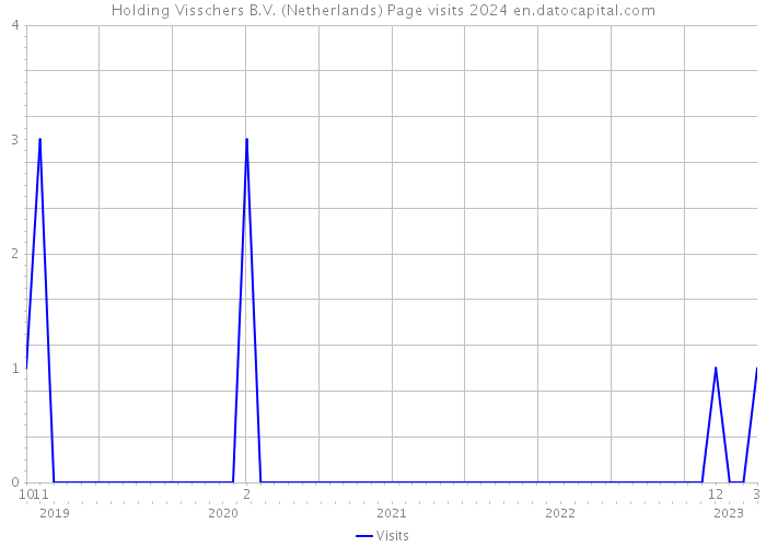 Holding Visschers B.V. (Netherlands) Page visits 2024 