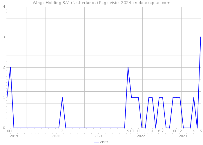 Wings Holding B.V. (Netherlands) Page visits 2024 