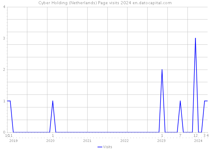 Cyber Holding (Netherlands) Page visits 2024 