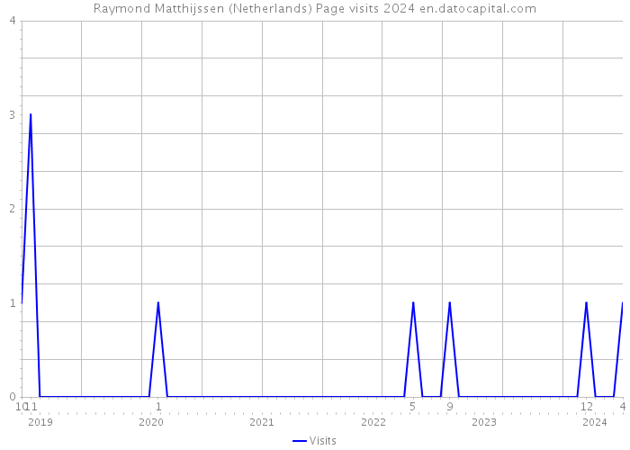 Raymond Matthijssen (Netherlands) Page visits 2024 