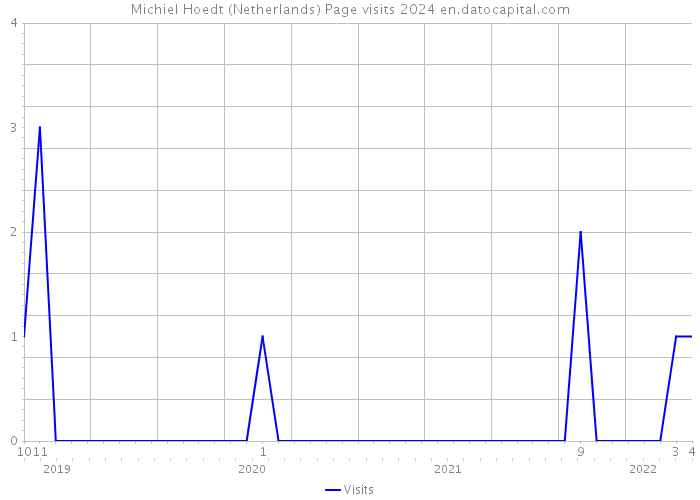 Michiel Hoedt (Netherlands) Page visits 2024 