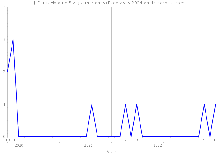J. Derks Holding B.V. (Netherlands) Page visits 2024 