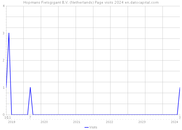 Hopmans Fietsgigant B.V. (Netherlands) Page visits 2024 