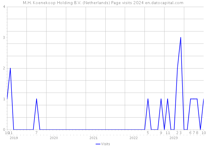 M.H. Koenekoop Holding B.V. (Netherlands) Page visits 2024 
