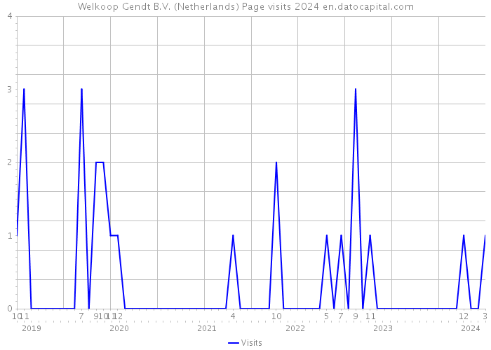 Welkoop Gendt B.V. (Netherlands) Page visits 2024 