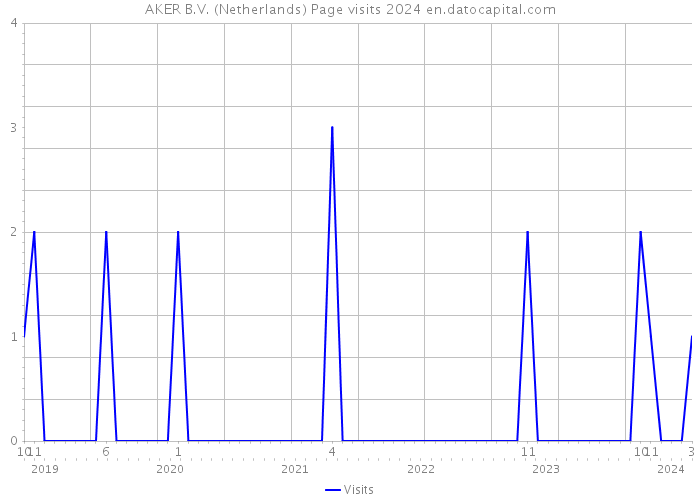 AKER B.V. (Netherlands) Page visits 2024 