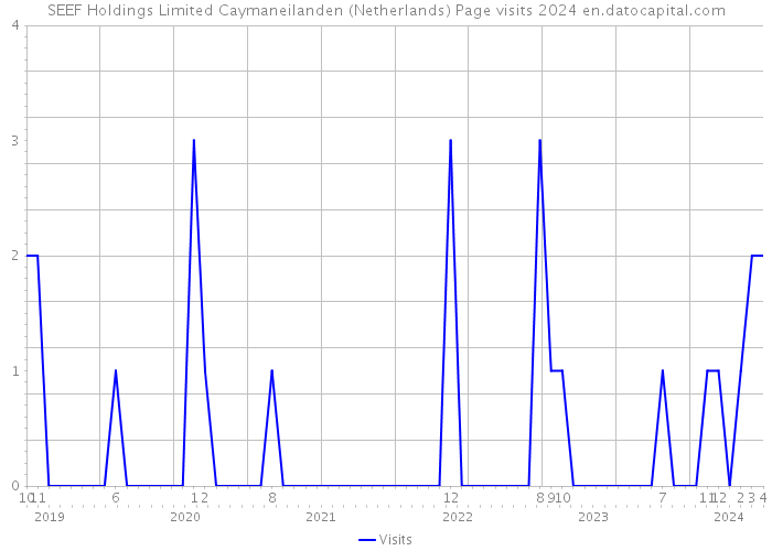 SEEF Holdings Limited Caymaneilanden (Netherlands) Page visits 2024 