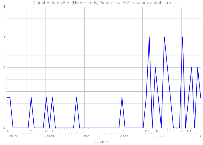 Digital Holding B.V. (Netherlands) Page visits 2024 