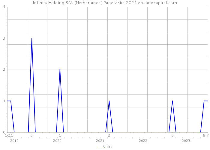 Infinity Holding B.V. (Netherlands) Page visits 2024 