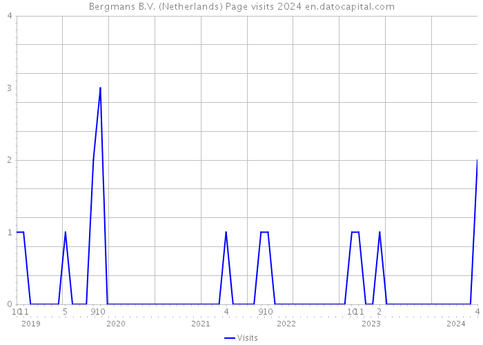 Bergmans B.V. (Netherlands) Page visits 2024 