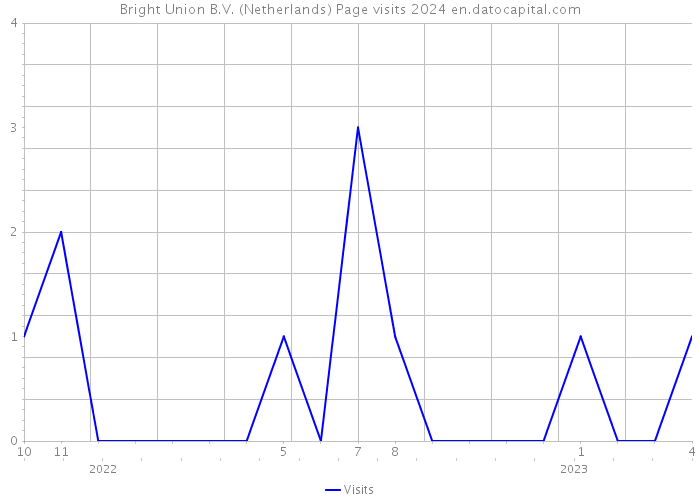 Bright Union B.V. (Netherlands) Page visits 2024 