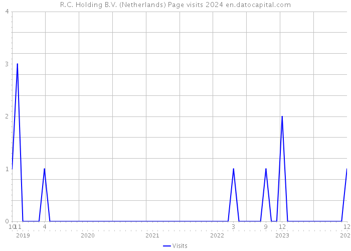 R.C. Holding B.V. (Netherlands) Page visits 2024 