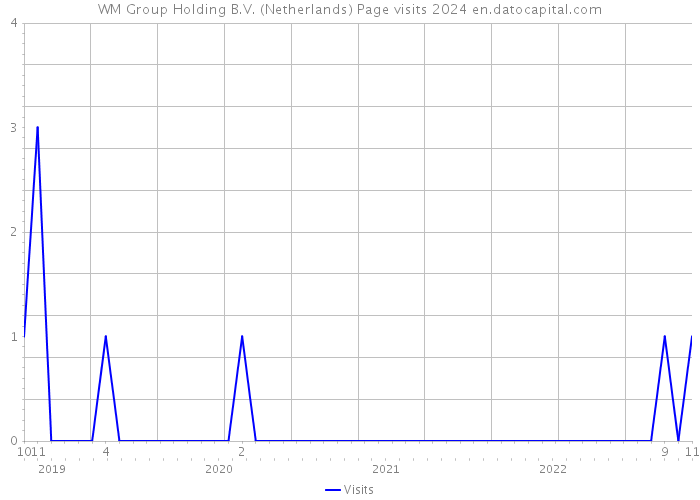 WM Group Holding B.V. (Netherlands) Page visits 2024 