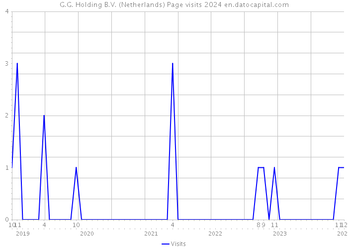 G.G. Holding B.V. (Netherlands) Page visits 2024 