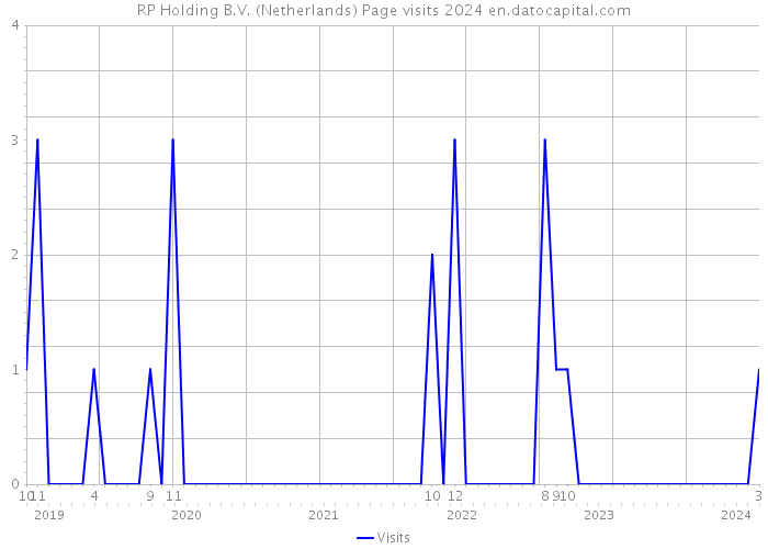 RP Holding B.V. (Netherlands) Page visits 2024 