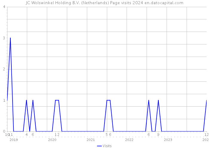 JC Wolswinkel Holding B.V. (Netherlands) Page visits 2024 