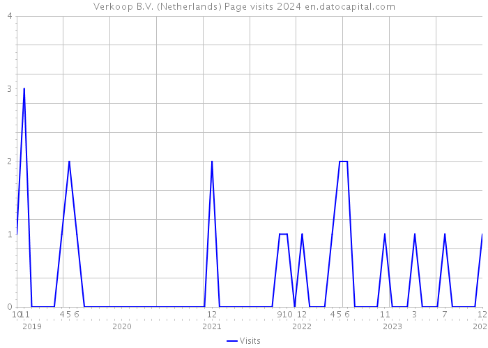 Verkoop B.V. (Netherlands) Page visits 2024 