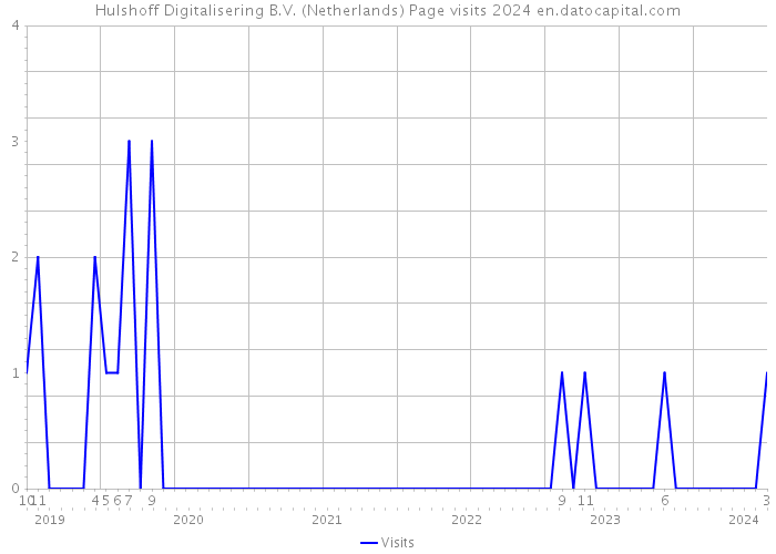 Hulshoff Digitalisering B.V. (Netherlands) Page visits 2024 