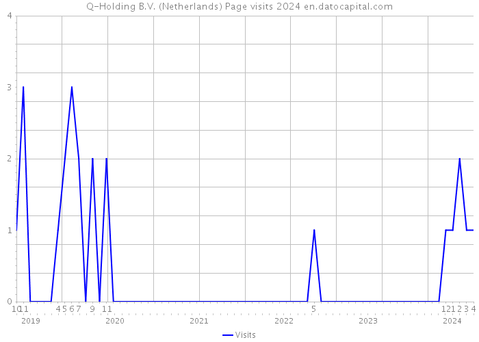 Q-Holding B.V. (Netherlands) Page visits 2024 