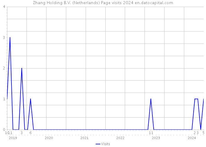 Zhang Holding B.V. (Netherlands) Page visits 2024 