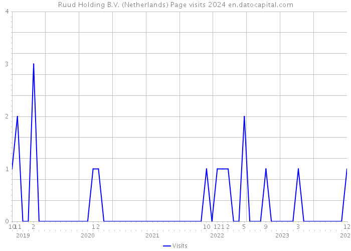 Ruud Holding B.V. (Netherlands) Page visits 2024 