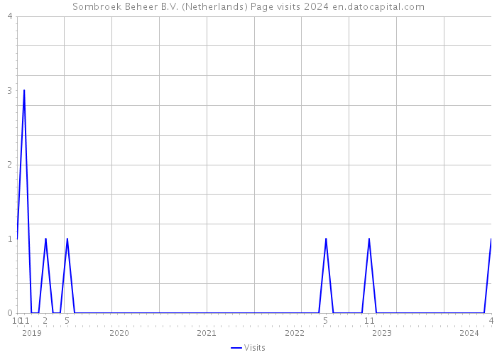 Sombroek Beheer B.V. (Netherlands) Page visits 2024 