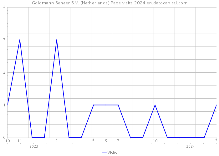 Goldmann Beheer B.V. (Netherlands) Page visits 2024 