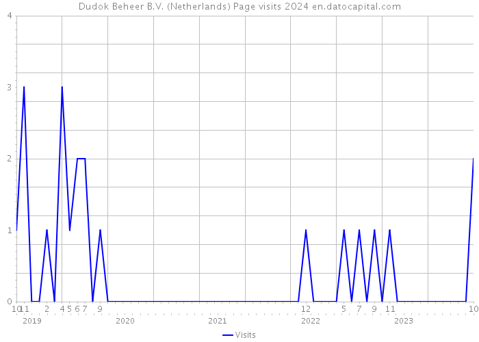 Dudok Beheer B.V. (Netherlands) Page visits 2024 