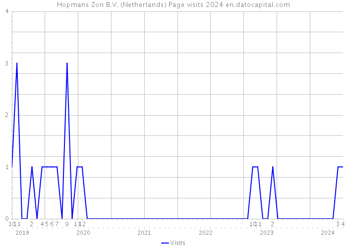 Hopmans Zon B.V. (Netherlands) Page visits 2024 
