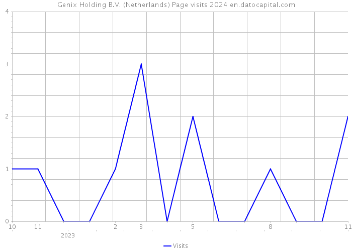 Genix Holding B.V. (Netherlands) Page visits 2024 