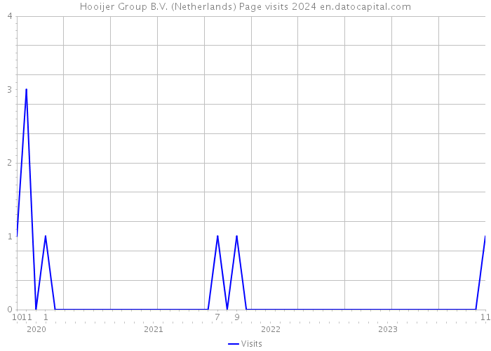 Hooijer Group B.V. (Netherlands) Page visits 2024 