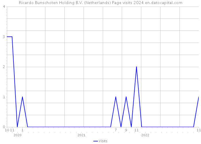 Ricardo Bunschoten Holding B.V. (Netherlands) Page visits 2024 