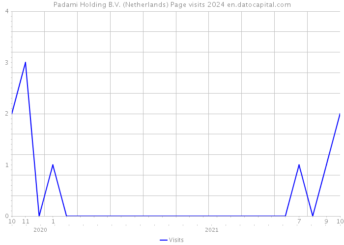 Padami Holding B.V. (Netherlands) Page visits 2024 