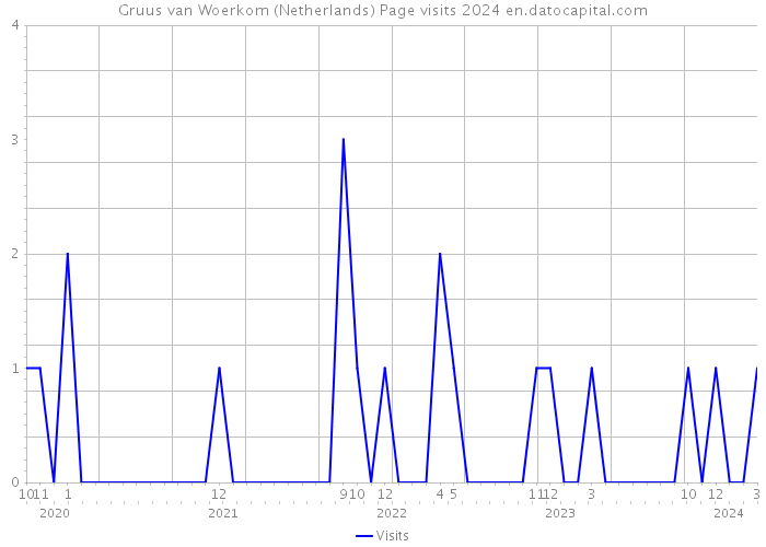 Gruus van Woerkom (Netherlands) Page visits 2024 