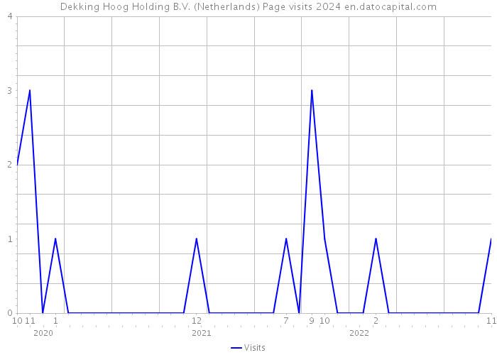 Dekking Hoog Holding B.V. (Netherlands) Page visits 2024 