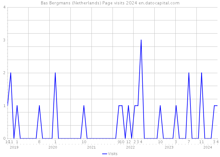 Bas Bergmans (Netherlands) Page visits 2024 