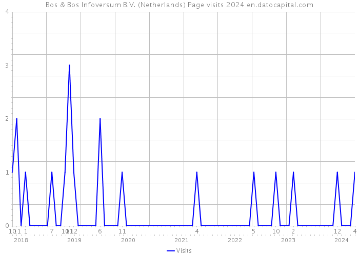 Bos & Bos Infoversum B.V. (Netherlands) Page visits 2024 