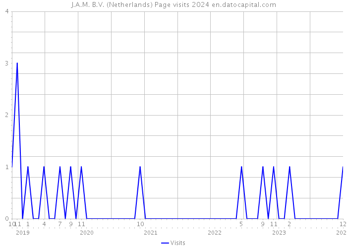 J.A.M. B.V. (Netherlands) Page visits 2024 