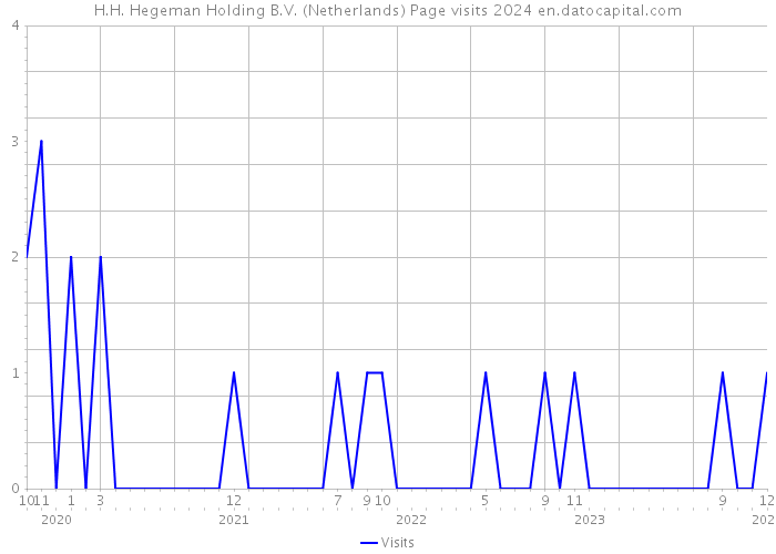 H.H. Hegeman Holding B.V. (Netherlands) Page visits 2024 