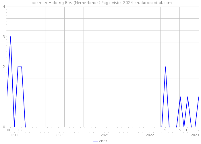 Loosman Holding B.V. (Netherlands) Page visits 2024 