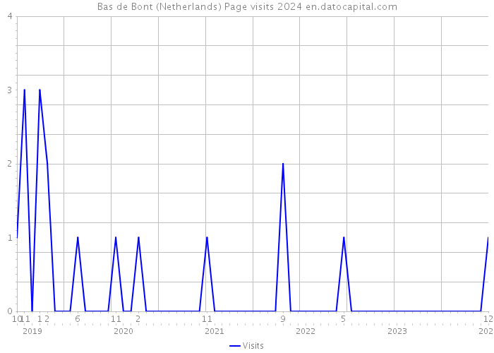 Bas de Bont (Netherlands) Page visits 2024 