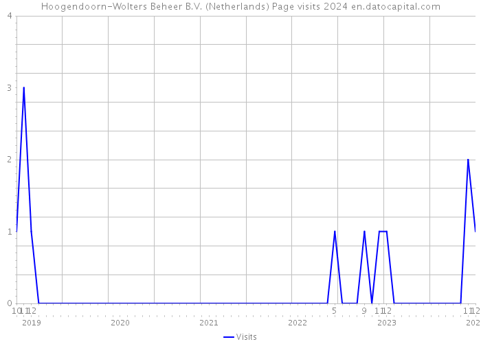 Hoogendoorn-Wolters Beheer B.V. (Netherlands) Page visits 2024 